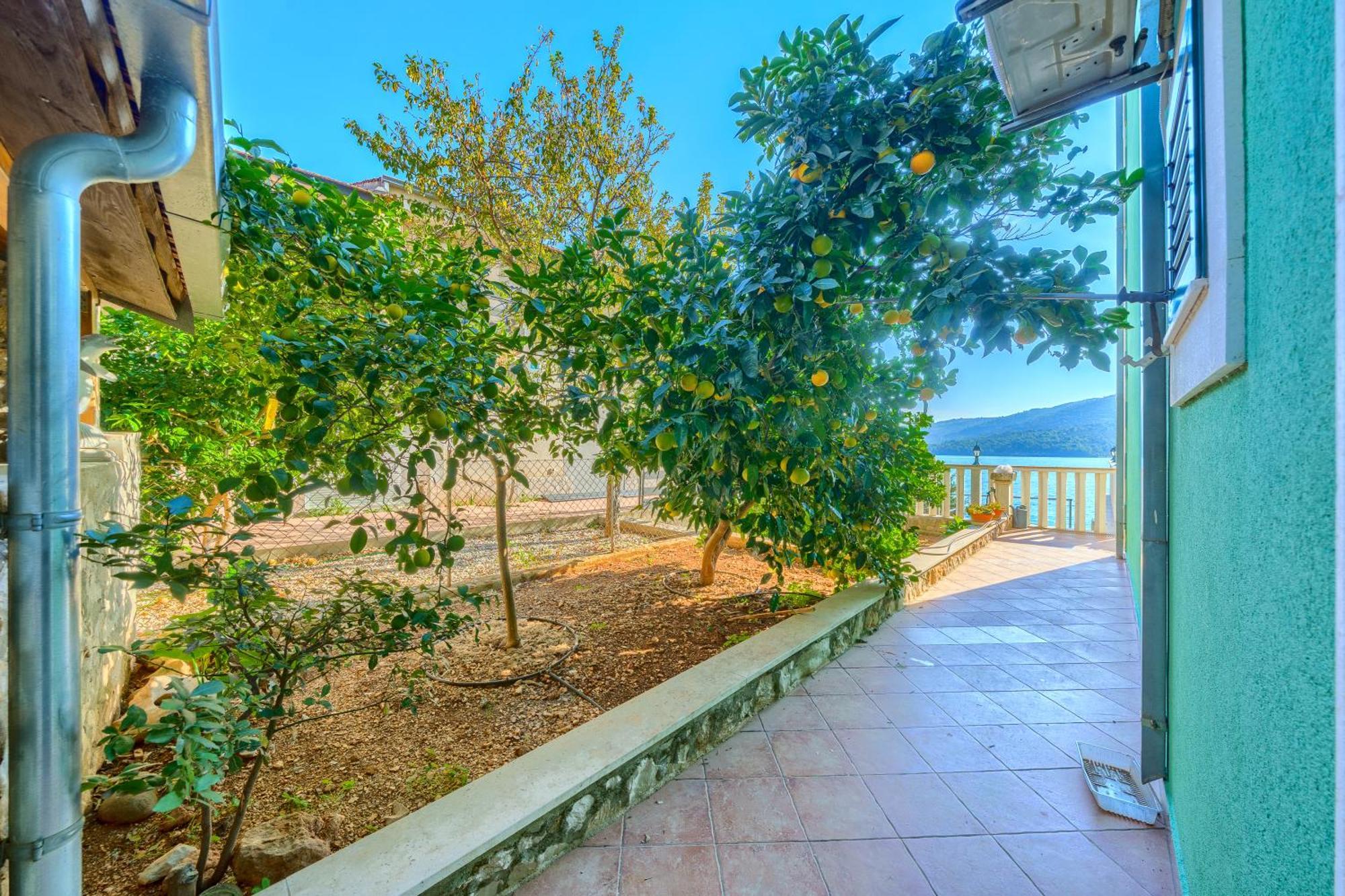 Villa Drago Marina  Exterior foto